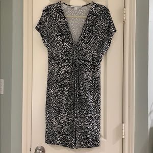 Diane von Furstenberg V-Neck Dress